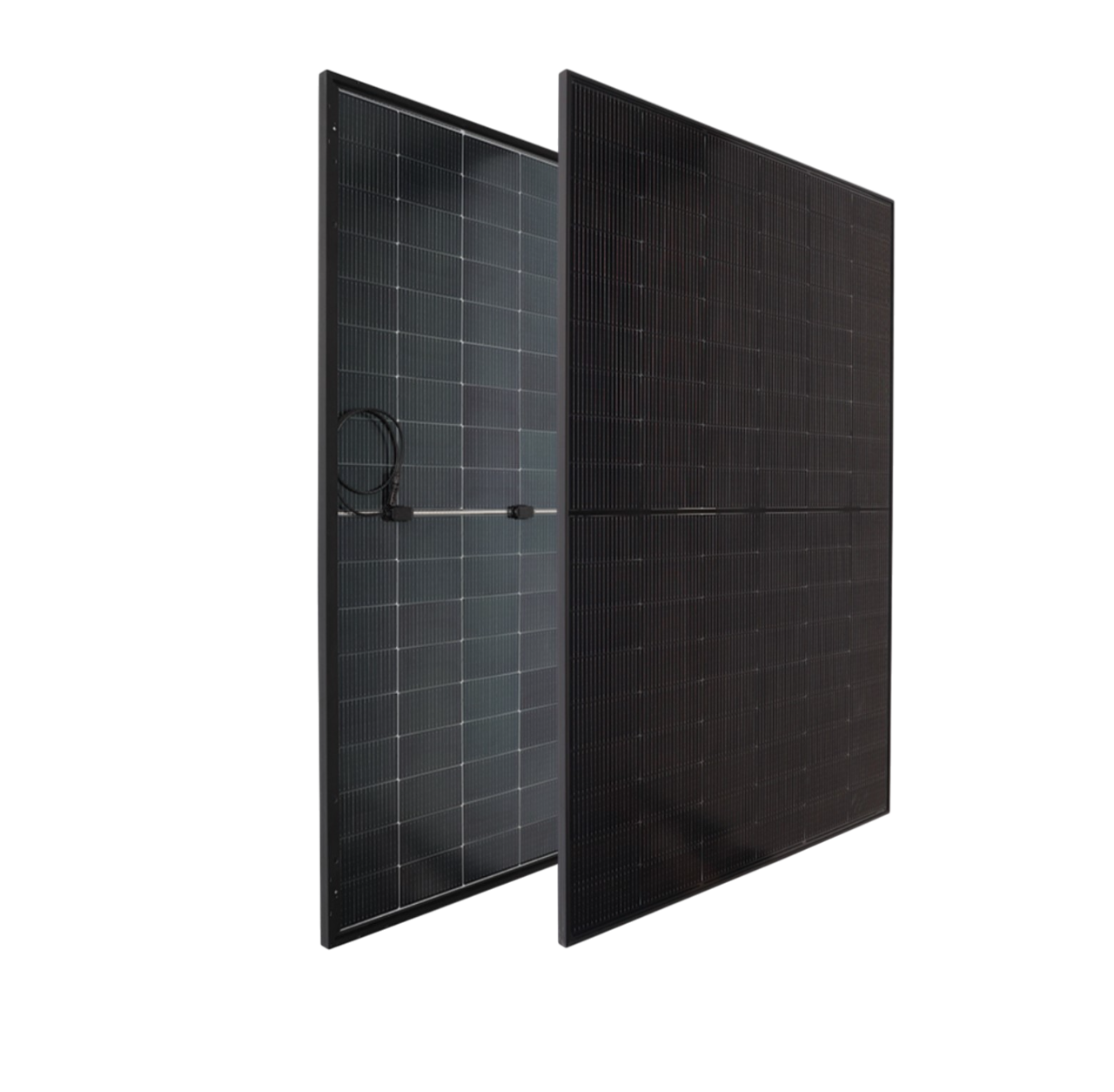 IBC MOdule-Photoroom